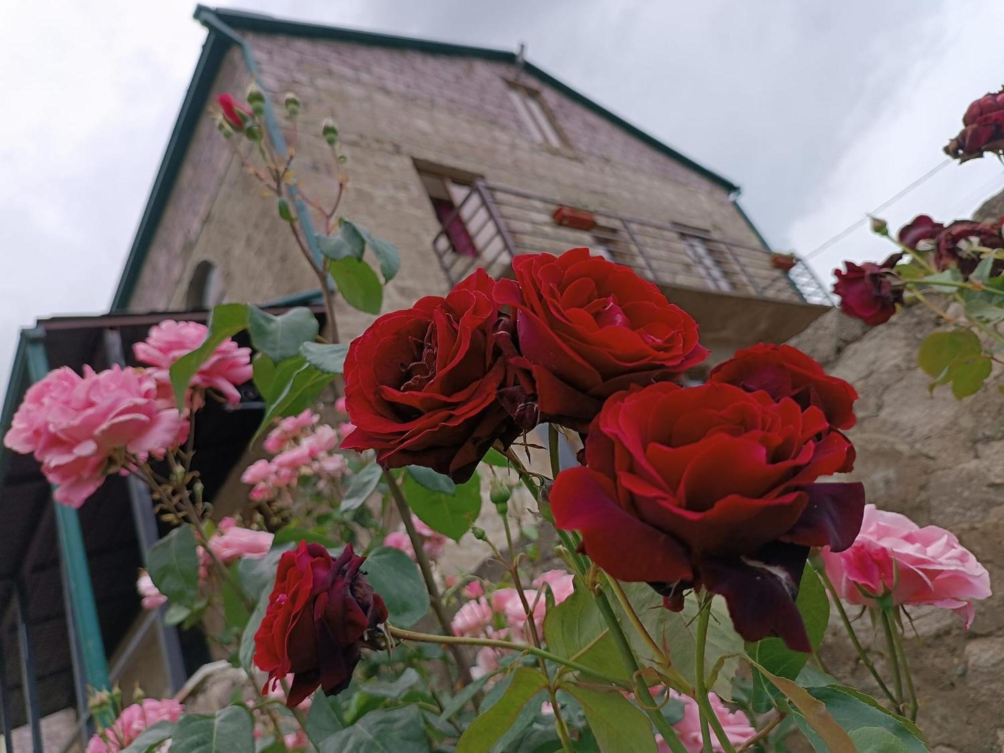 Bears And Berries Hotel Berd Екстериор снимка